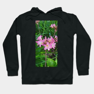 Belladonna Lily Hoodie